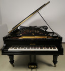 Schwarzer Kaps Flügel mit Hocker 01